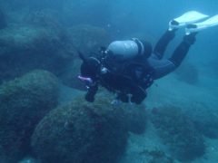 あいちゃん　外海初体験