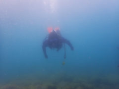 浅場でも浮いてきません