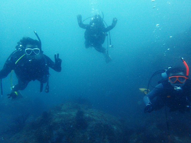 田子島＃ドリフトダイビング