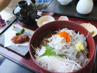 ３色しらす丼