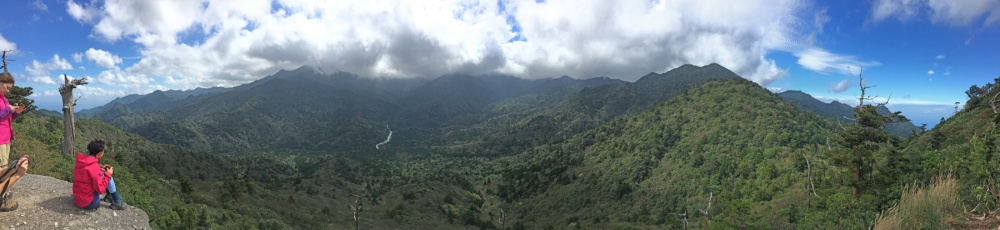 登ってきた深い森を太鼓岩より