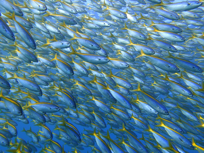 全部タカベ