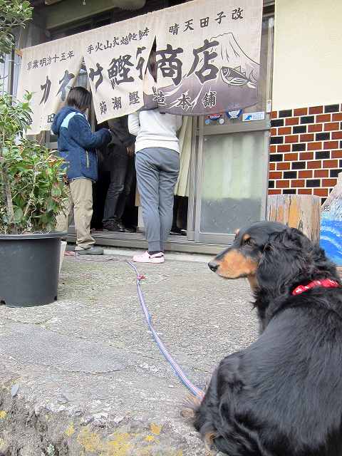 田子＃カネサ鰹節商店＃伊豆の特産