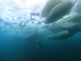 これぞ流氷ダイブ