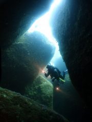 水中洞窟＃雲見ダイビングツアー