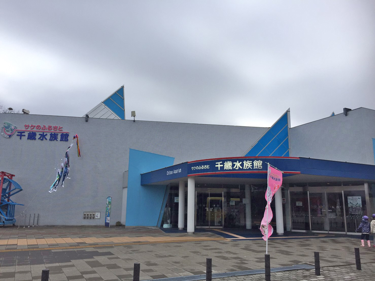 サケのふるさと　千歳川水族館