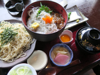 湘南しらす丼