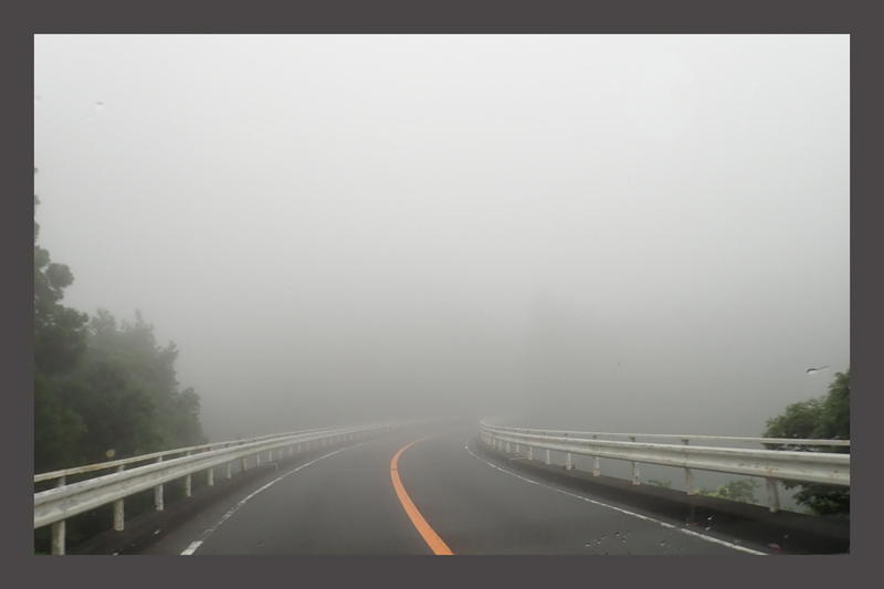 濃霧で富士山が・・・