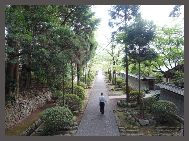 知らないおじさんありがとうございました。