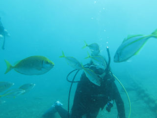 魚とも戯れて