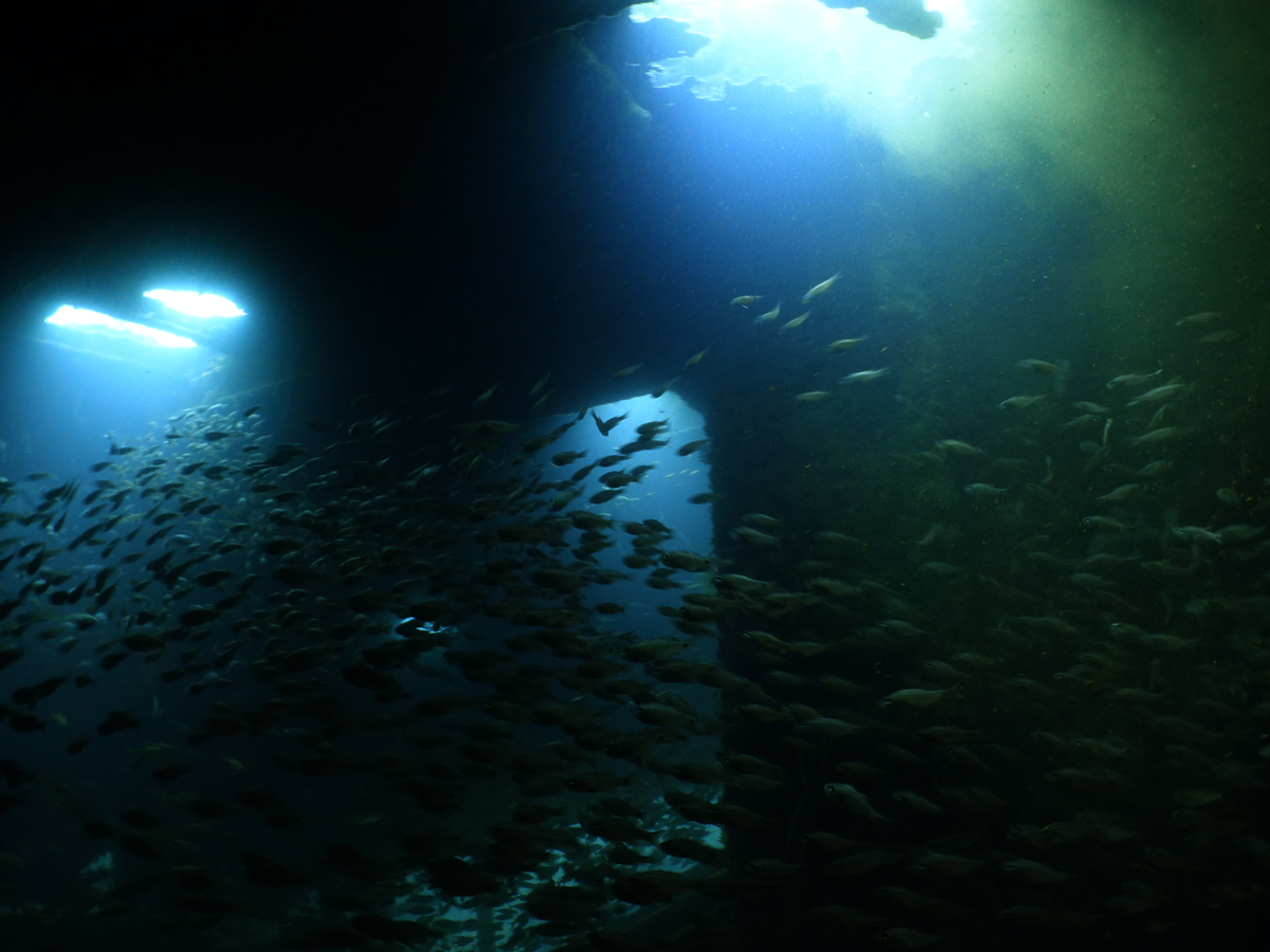 熱海の沈没船