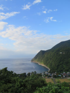 高台から望む井田の海