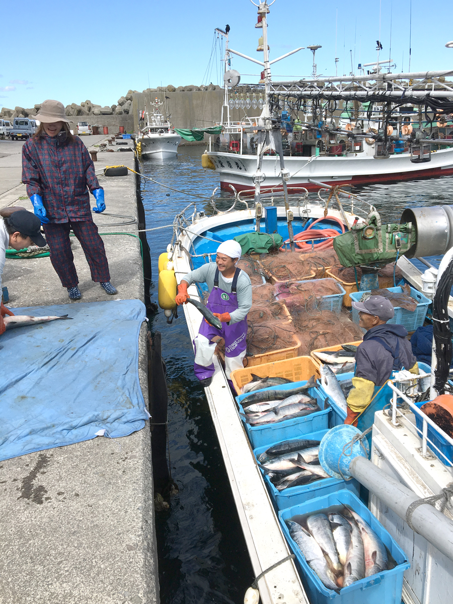 北海道ではサケの事秋アジっていいます。