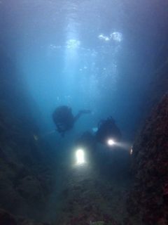 水中洞窟＃浮島ビーチダイビング