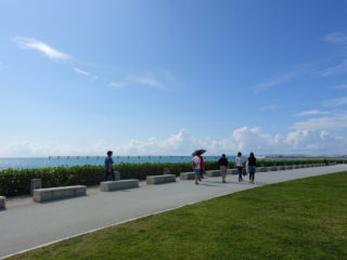 芝生と空と海