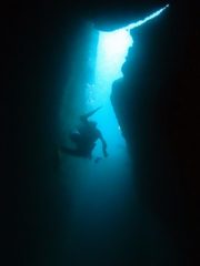 水中洞窟＠雲見ダイビング