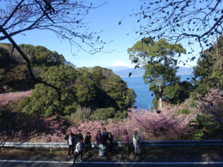 日本らしい景色。