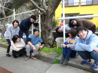 小さな花が咲いてるよ