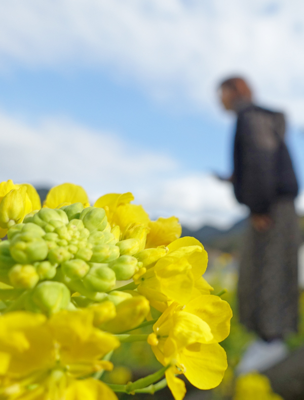 花は皆を一つにします。