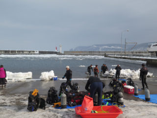 流氷がが来たー！