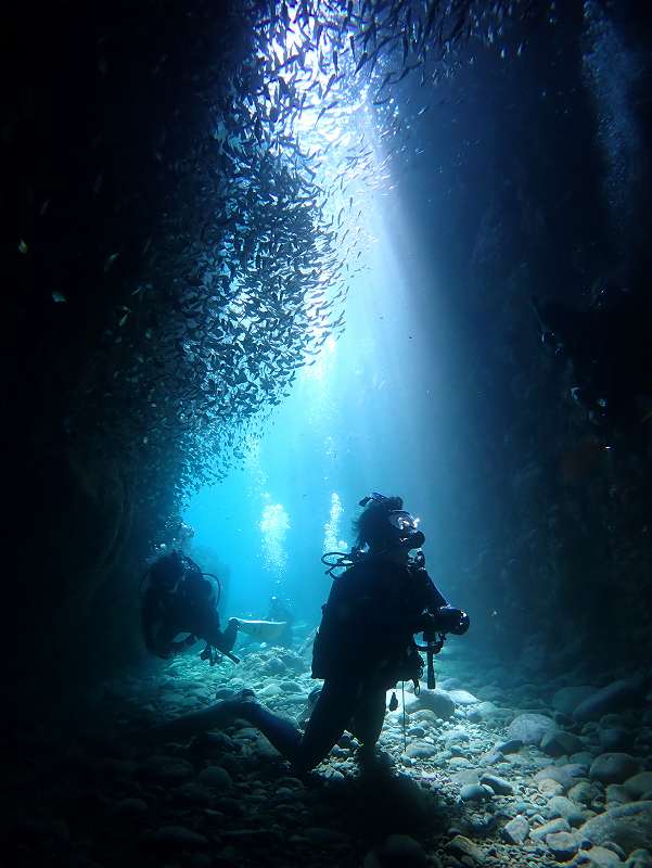 ツマグロハタンポ＠水中洞窟