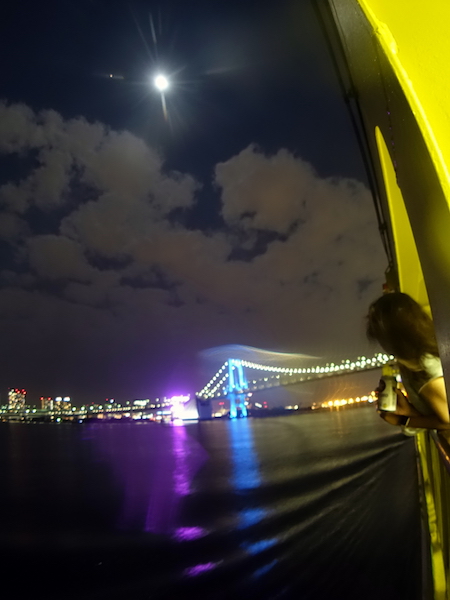 東京湾夜景@三宅島ドルフィンスイムツアー