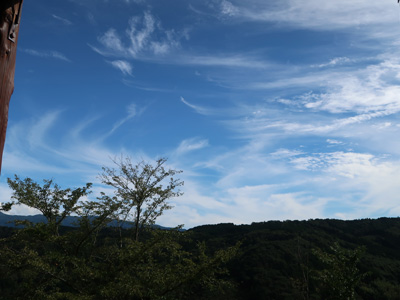 夏も終わりだね