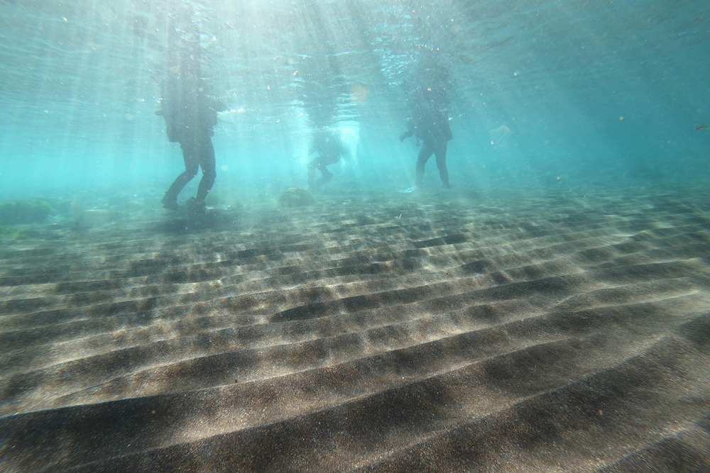 浅瀬がとにかく良い