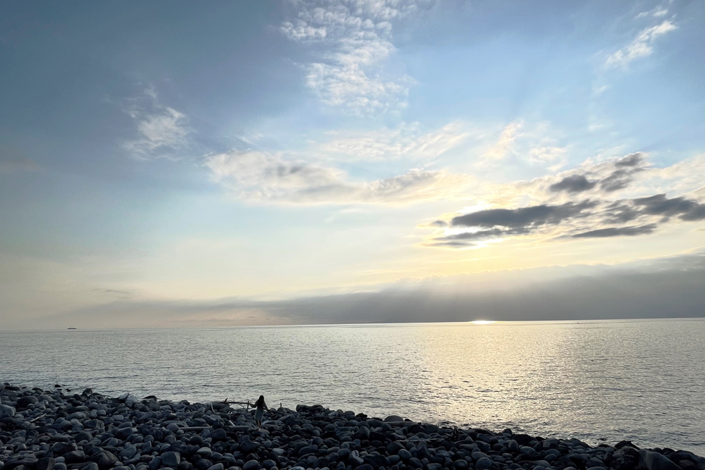 夕暮れ時の流木拾い。