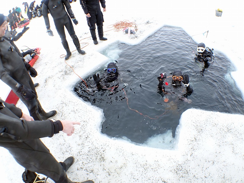 エントリー＠北海道知床流氷アイスダイビングツアー