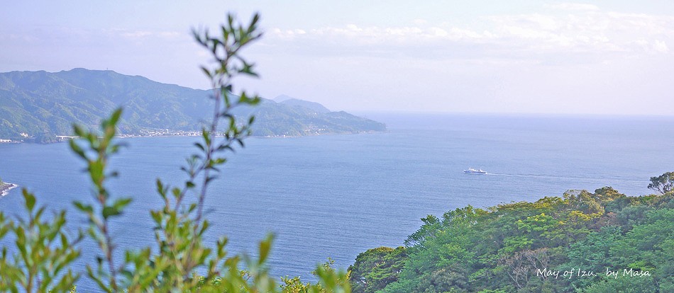 新緑・伊豆の陸上風景写真