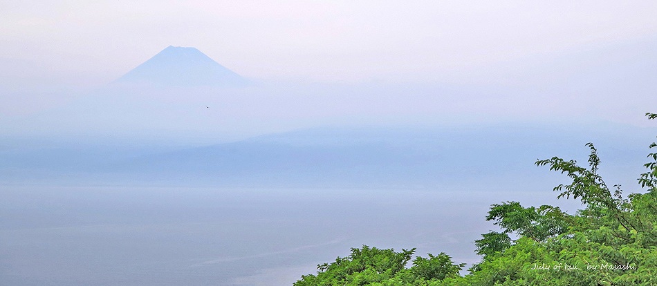 富士山と海・7月の伊豆の陸上風景写真