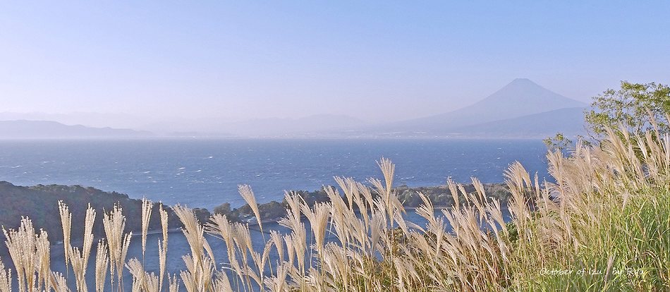 富士山と大瀬崎・伊豆の陸上風景写真