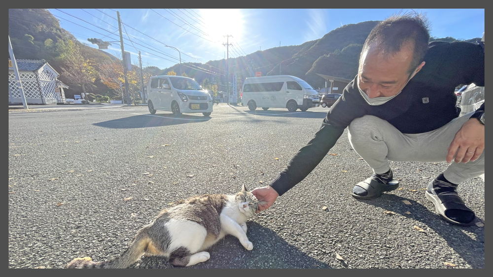 猫の手も借りたい＠雲見ダイビングツアー