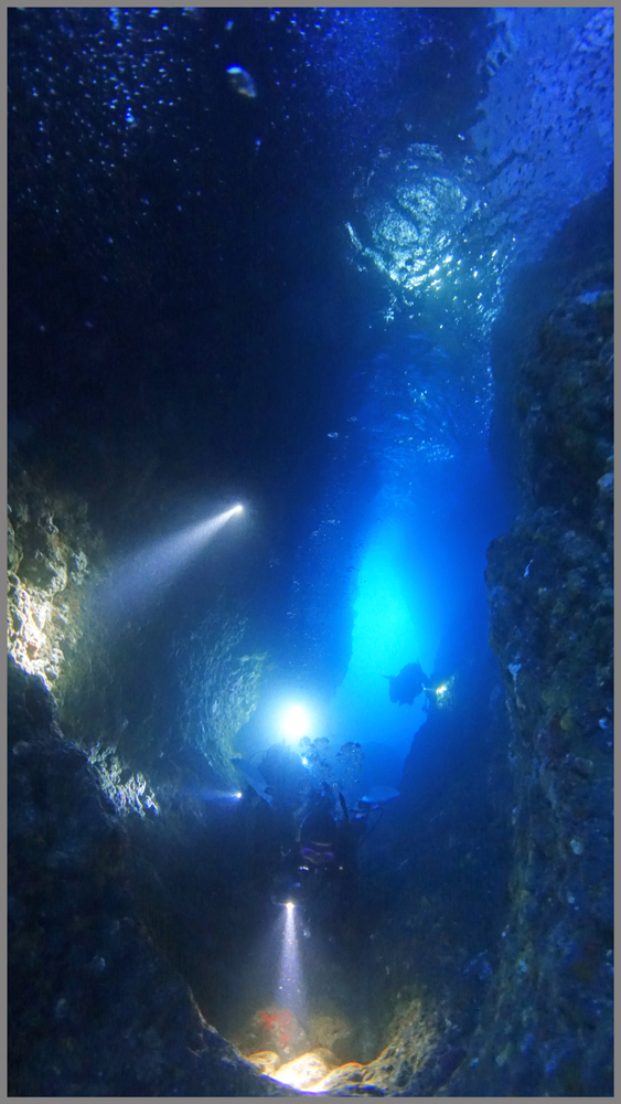水中洞窟＠熱海ダイビングツアー