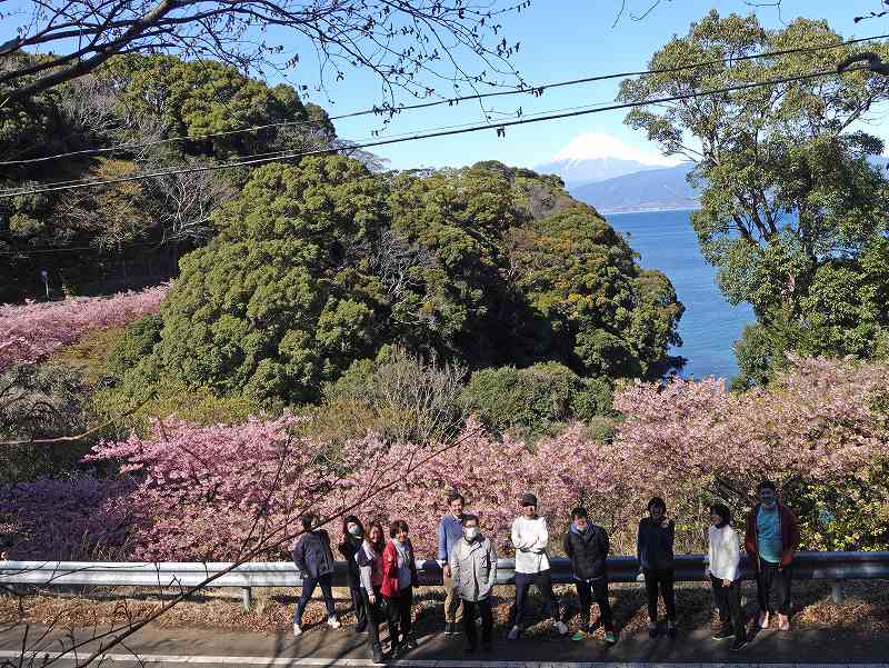 河津桜＠大瀬崎ダイビングツアー