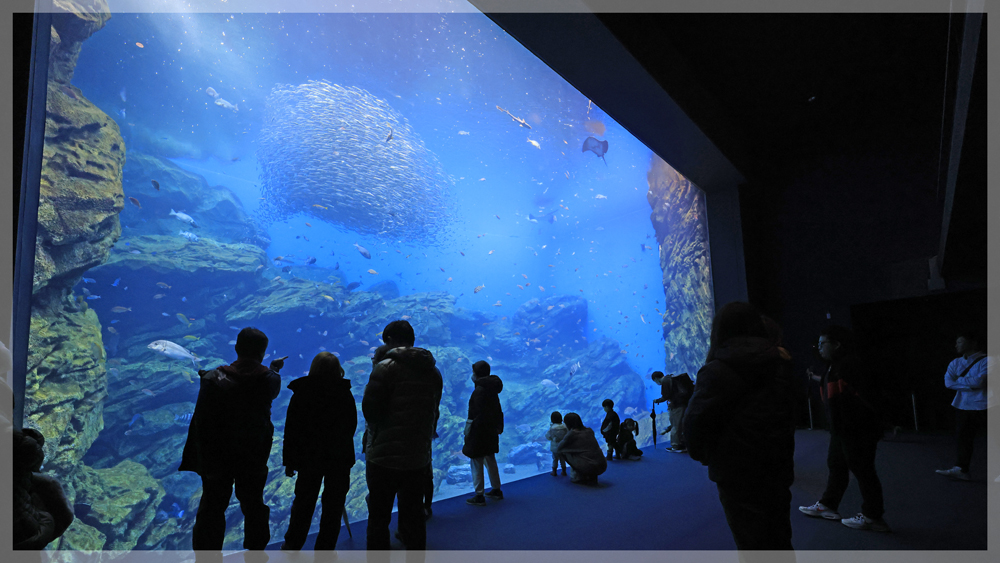 うみの杜水族館＠宮城ツアー