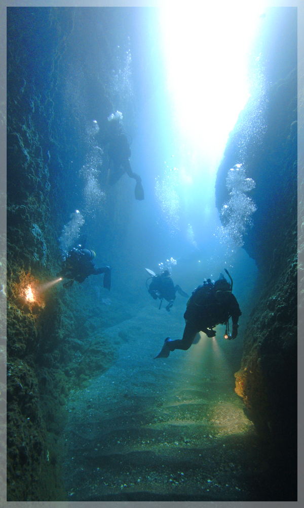 水中洞窟＠熱海ダイビングツアー