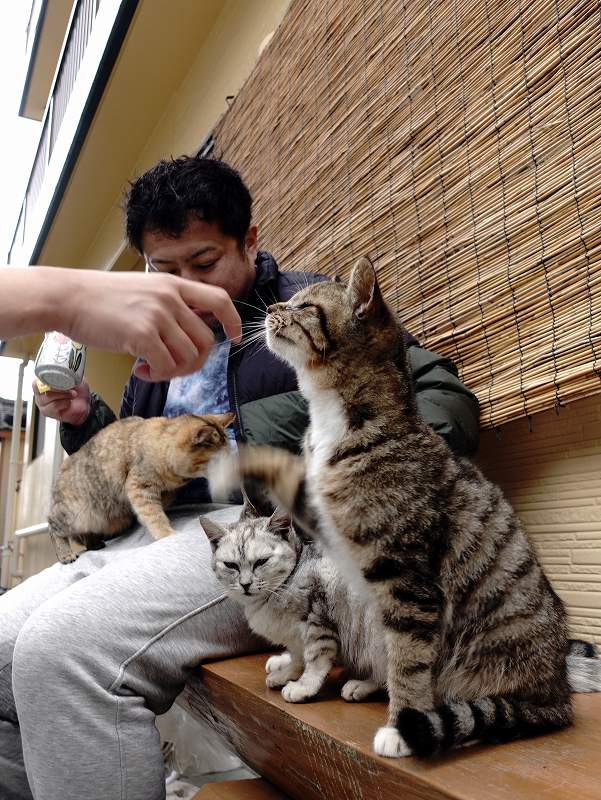 猫島＠柏島ダイビングツアー