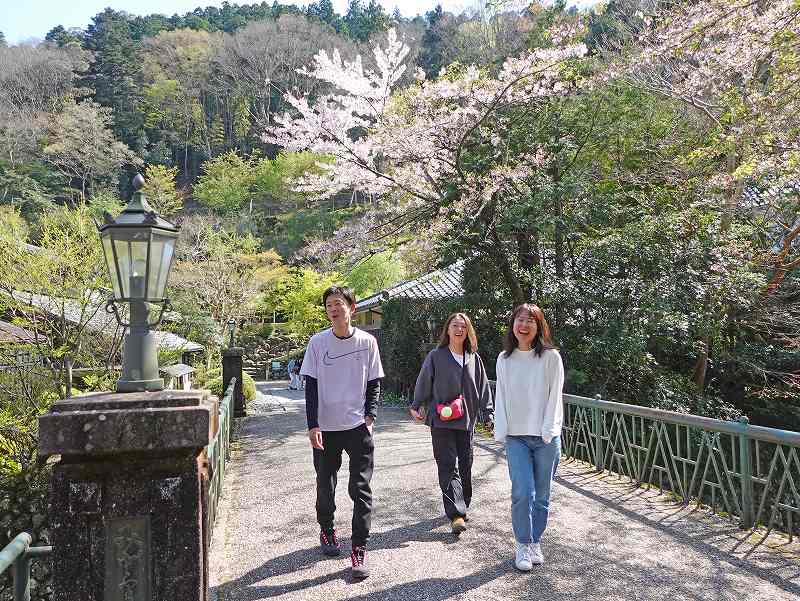 修善寺お花見＠東京発伊豆ダイビングツアー