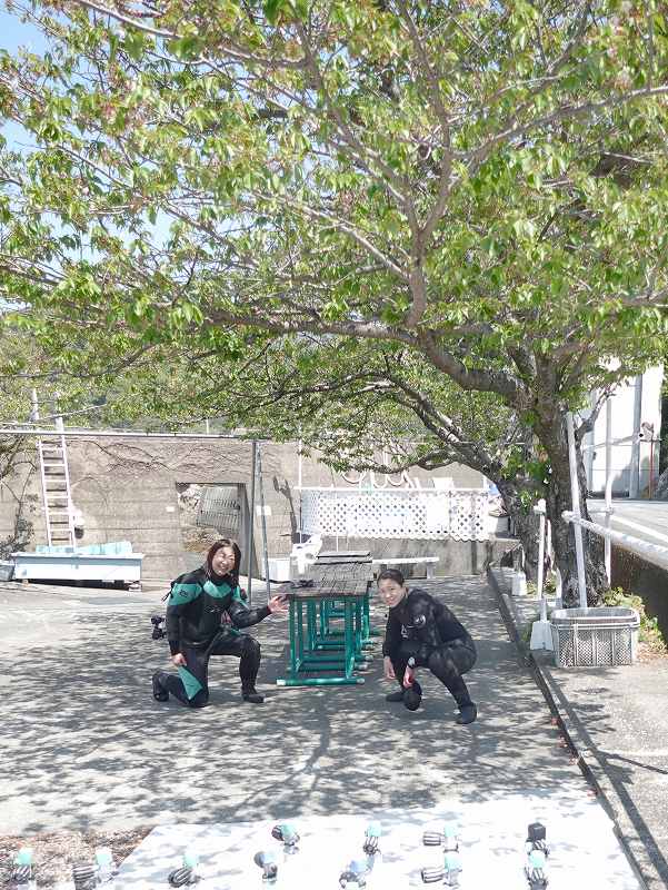 新緑@平日田子ダイビングツアー