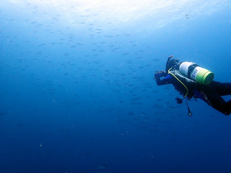 ボートダイビング＠平日田子ダイビングツアー