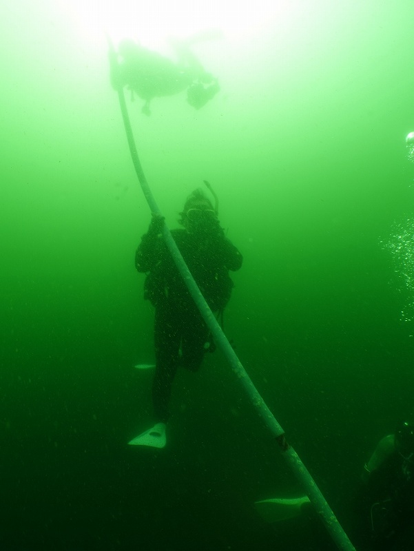 透明度＠城ヶ島朝活ダイビングツアー