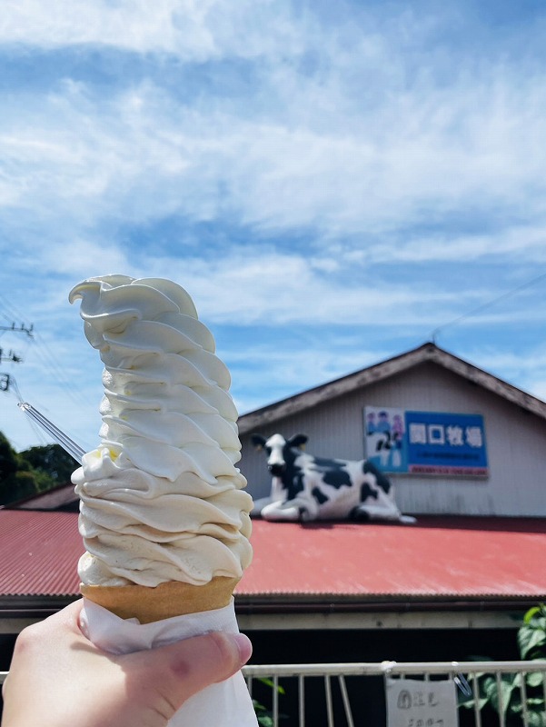 関口牧場ソフト＠城ヶ島朝活ダイビングツアー