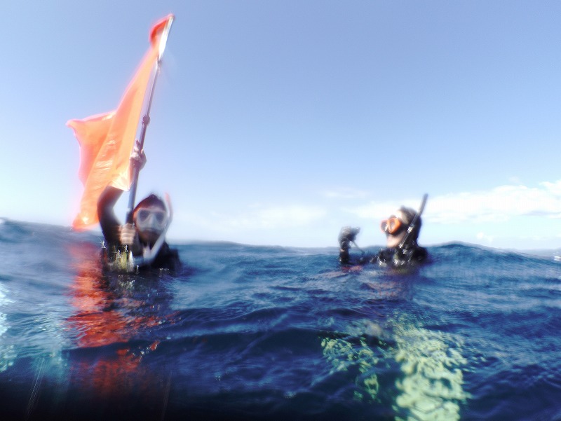 ドリフトダイビング＠東京発神子元ダイビングツアー