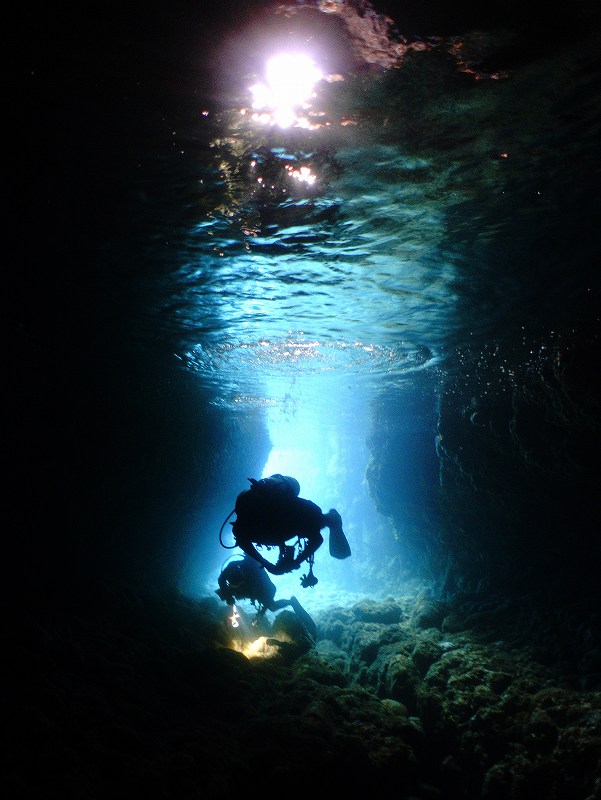 水中洞窟@平日日帰り田子ダイビングツアー