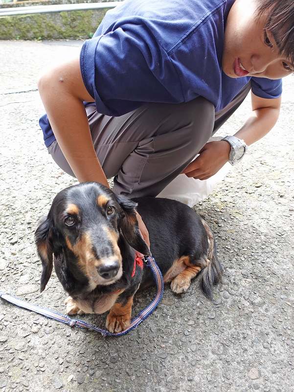 カネサ鰹節商店@平日日帰り田子ダイビングツアー