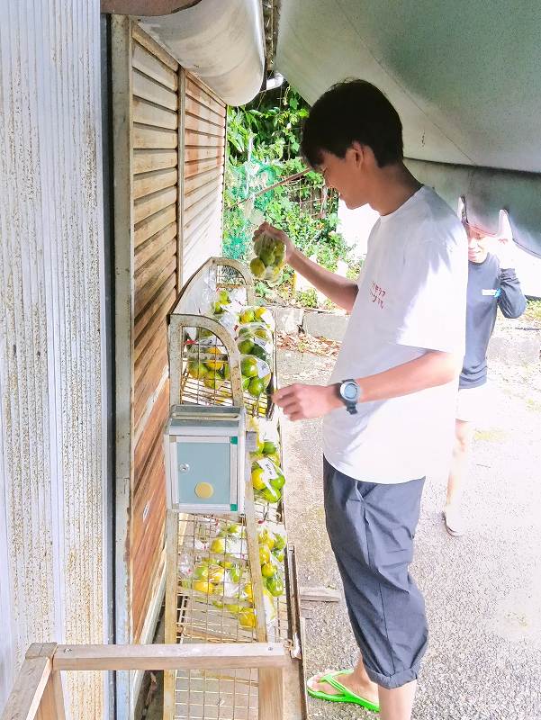 西浦みかん無人販売@井田水中写真練習ツアー