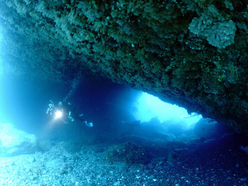 期間限定メガネ岩＠三宅島ダイビング＆ドルフィンスイムツアー