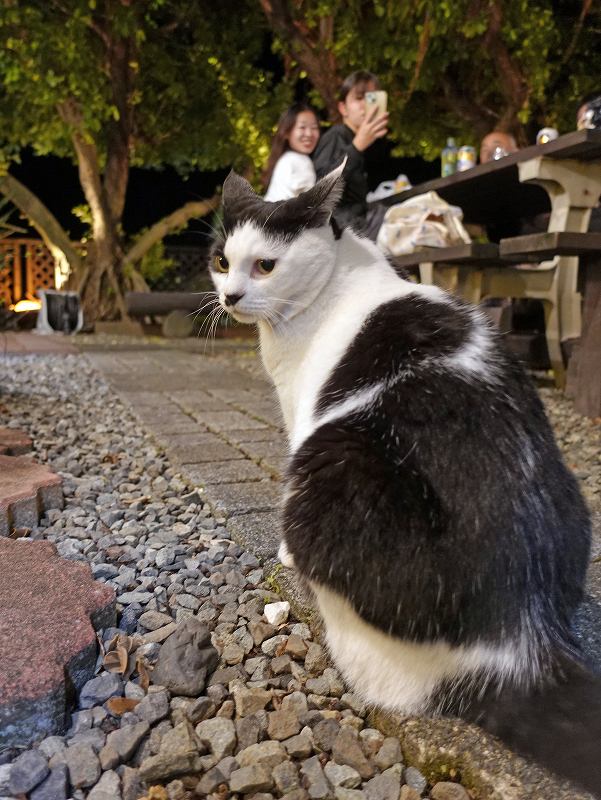 ペンションサントモ＠三宅島ダイビング＆ドルフィンスイムツアー